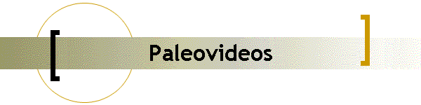 Paleovideos