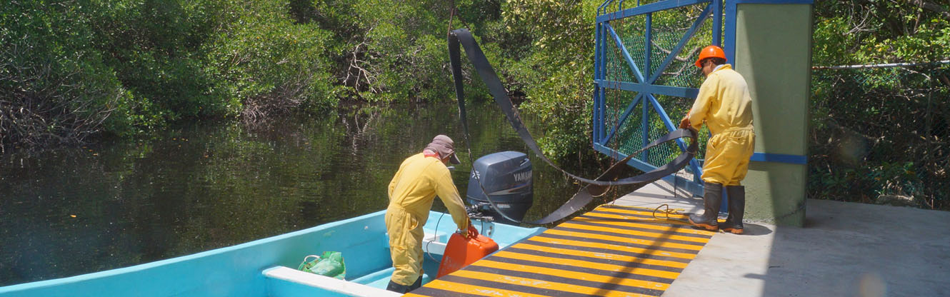 Biogeoquímica y fisicoquímica de humedales costeros