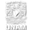 Logotipo UNAM