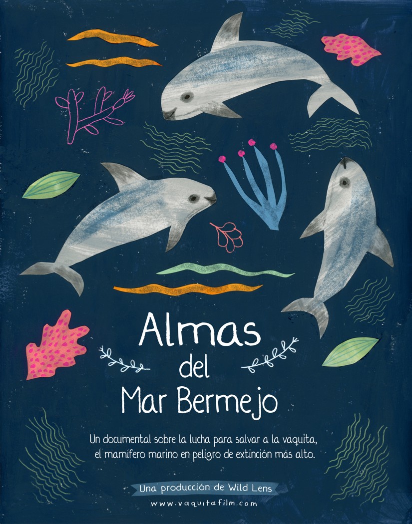 Vaquita Marina