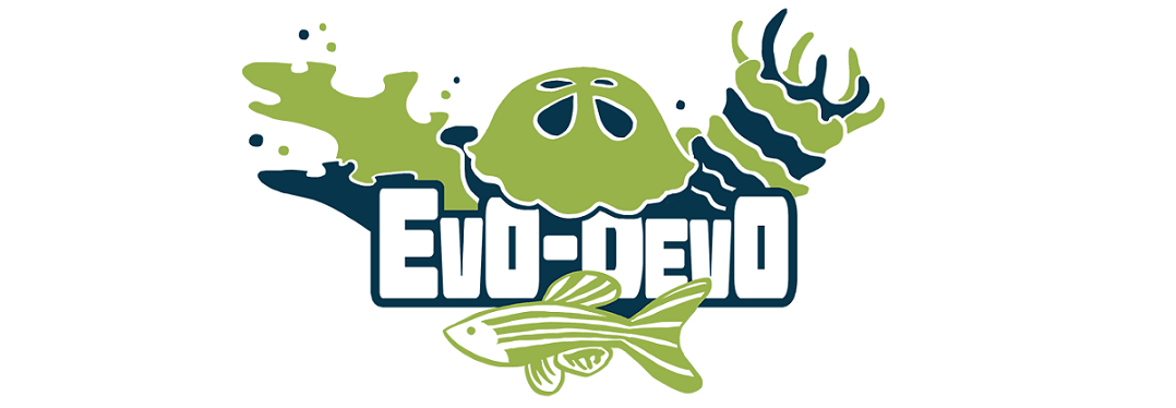 EvoDevo