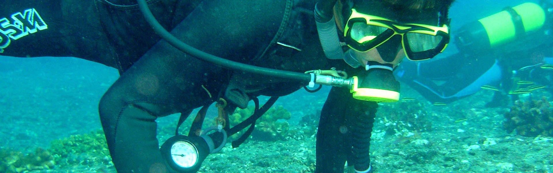 Laboratorio de investigación Integral para la conservación de Arrecifes