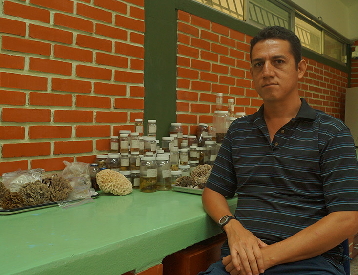 Dr. Enrique Ávila Torres