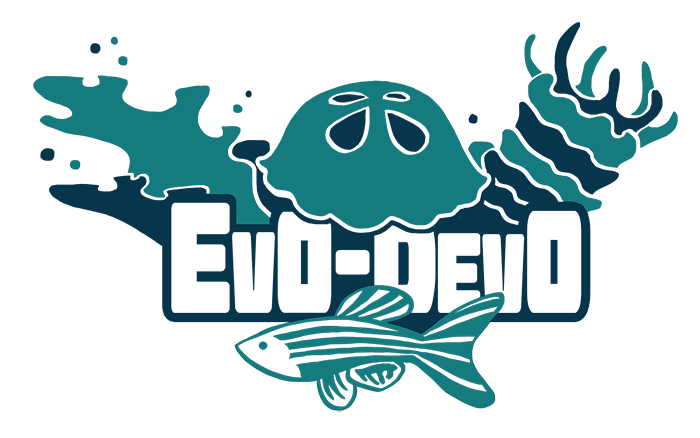 Logo laboratorio