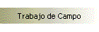Trabajo de Campo