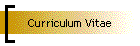 Curriculum Vitae